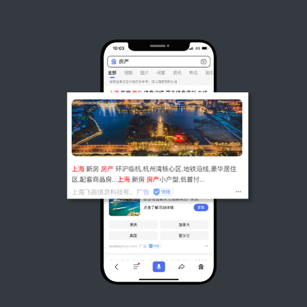 竞价排名包年